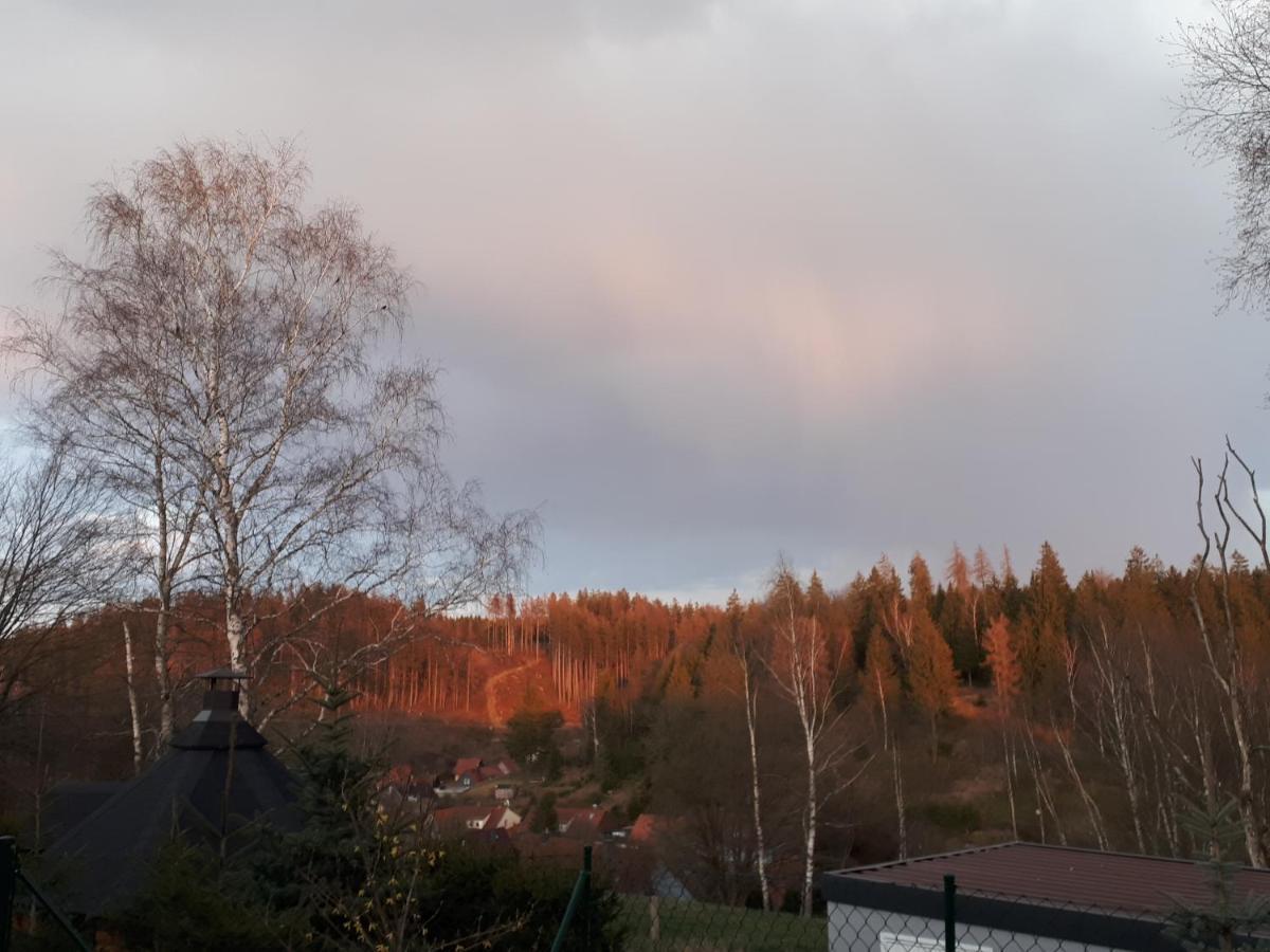 Behagliches Ferienhaus Zaunkoenig -Mit Kamin Und Sauna ทานเนอ ภายนอก รูปภาพ