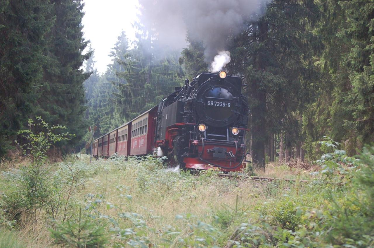 Behagliches Ferienhaus Zaunkoenig -Mit Kamin Und Sauna ทานเนอ ภายนอก รูปภาพ