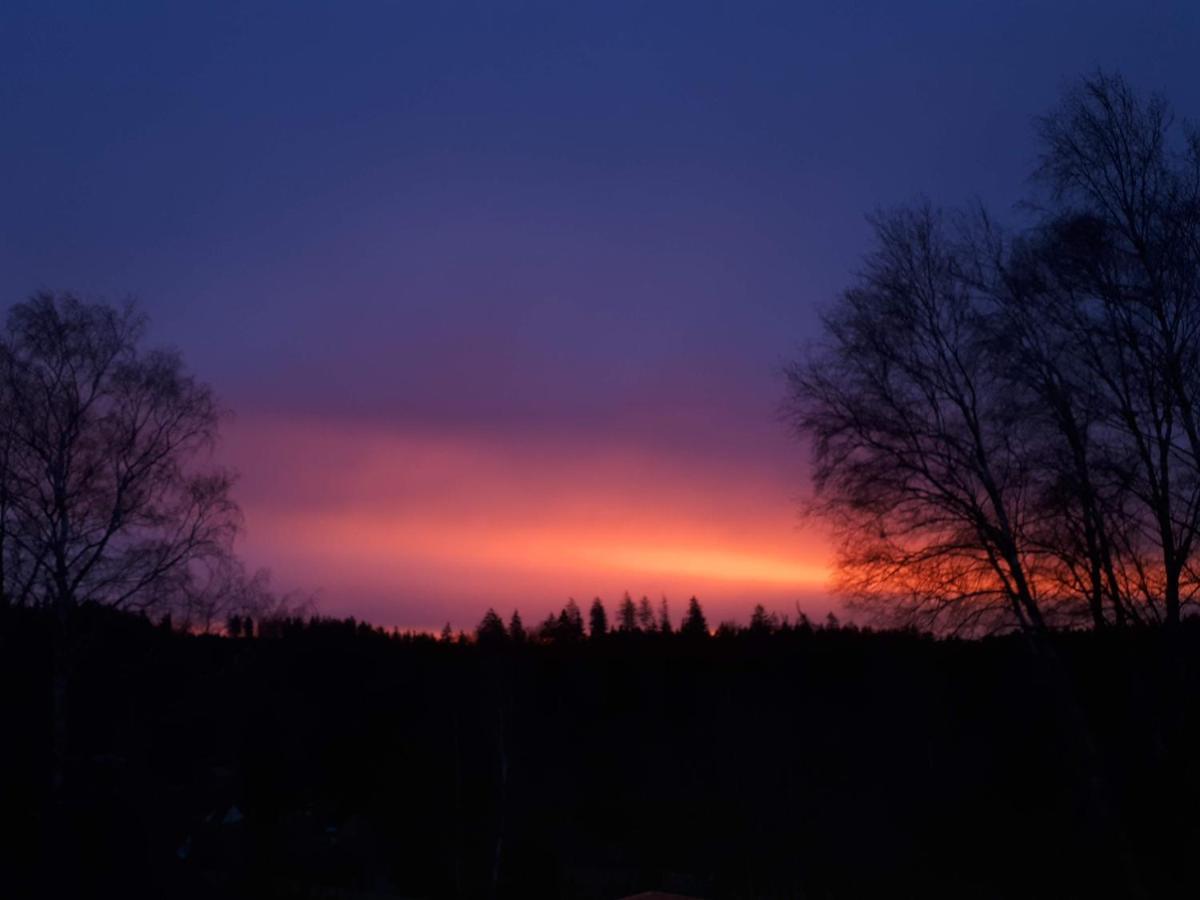 Behagliches Ferienhaus Zaunkoenig -Mit Kamin Und Sauna ทานเนอ ภายนอก รูปภาพ
